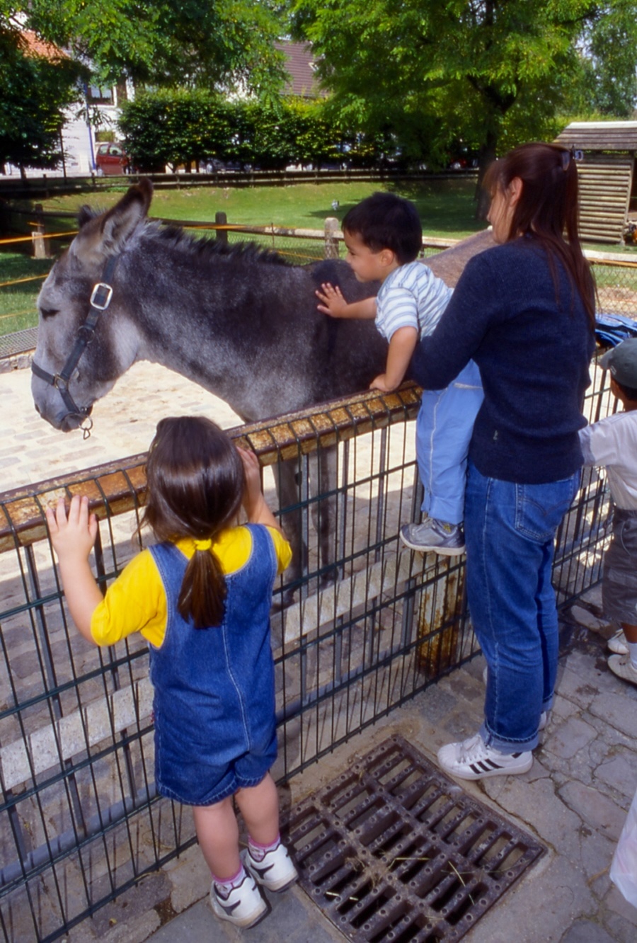 Ferme du Parc des Gondoles
