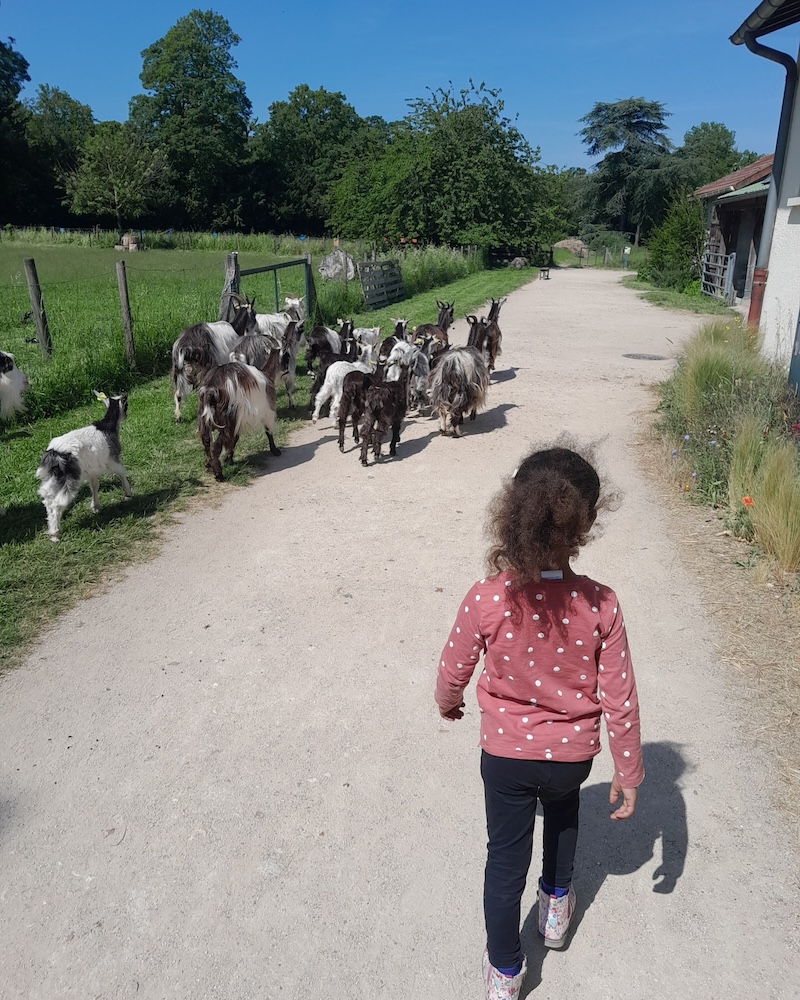 ferme-de-paris-animaux