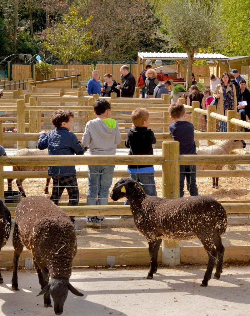 ferme-pedagogique-enfant-paris-issy