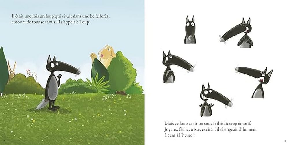 livre-enfants-emotions livre-enfants-emotions