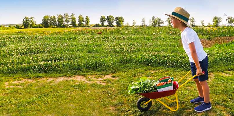 sortie-gratuite-enfant-paris sortie-gratuite-enfant-paris