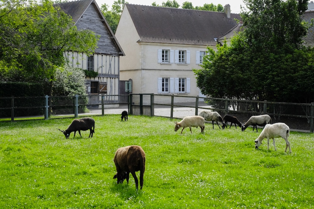 sortie-gratuite-paris-enfant-ferme-chanteraines sortie-gratuite-paris-enfant-ferme-chanteraines