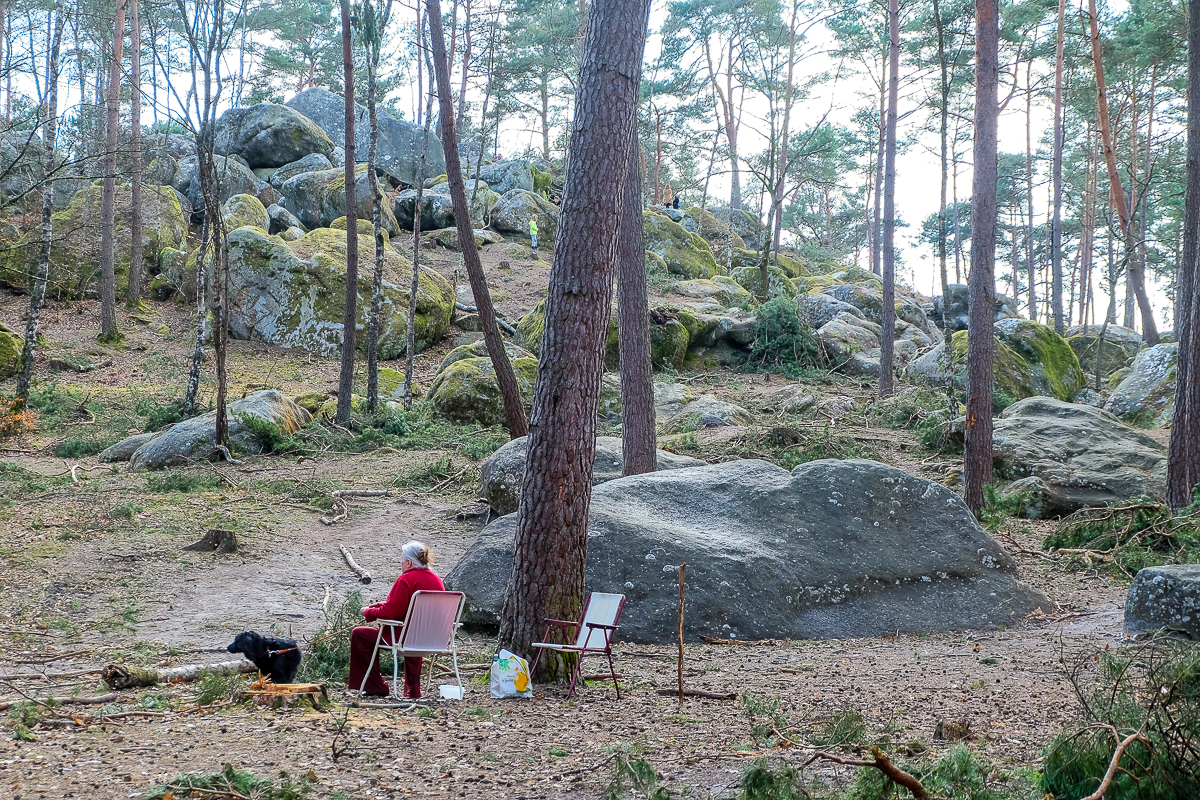 balade-en-famille-proche-paris-foret-fontainebleau balade-en-famille-proche-paris-foret-fontainebleau