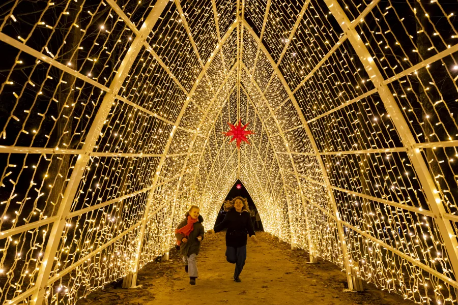 Parcours lumineux à Paris pendant les fêtes 2025-2026