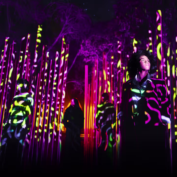 parcours-lumineux-paris-light-cycles-la-villette parcours-lumineux-paris-light-cycles-la-villette