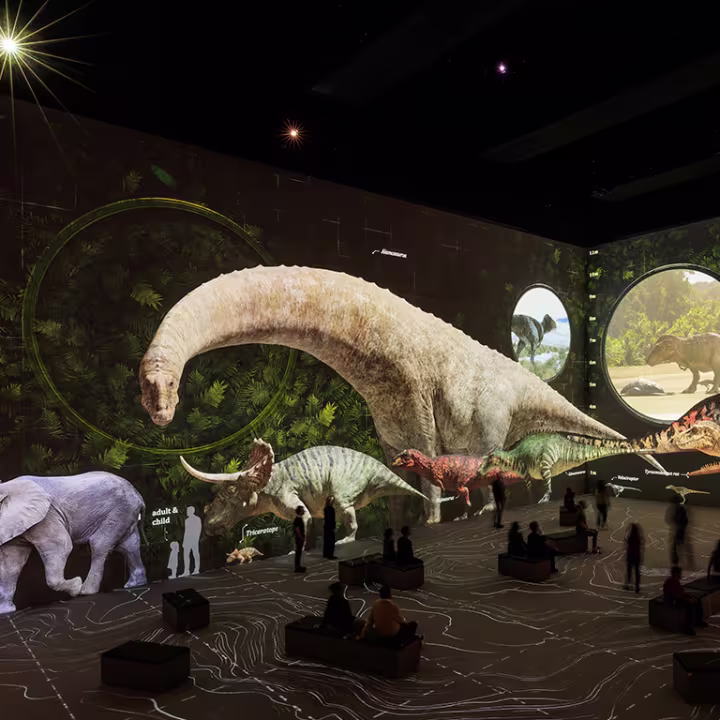 sortie-enfants-paris-decembre-vacances-noel