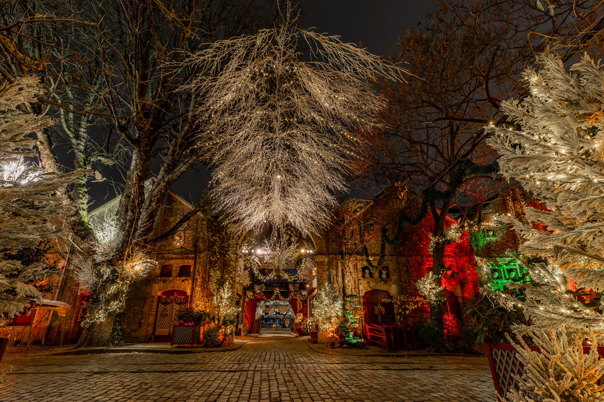 sortie-paris-decembre-enfants-noel