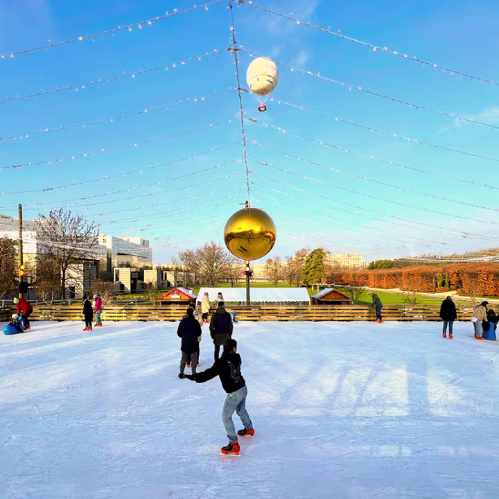 sortie-patinoire-paris-andre-citroen
